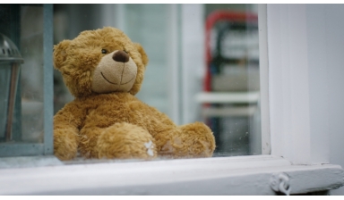Teddy Bear-Faced Liars