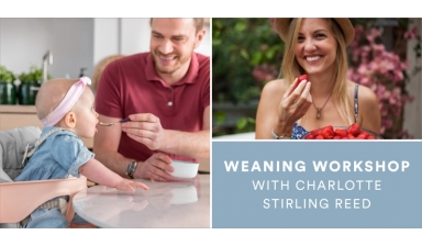 Stokke Weaning Webinar